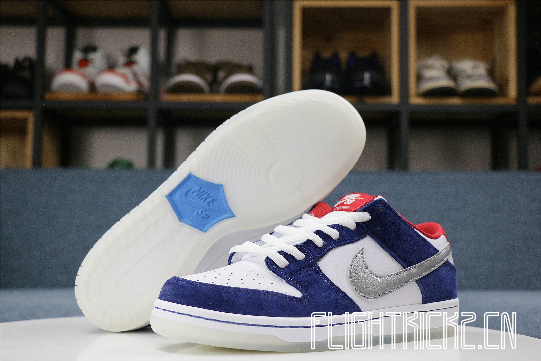 Nike Dunk SB Low Ishod Wair BMW