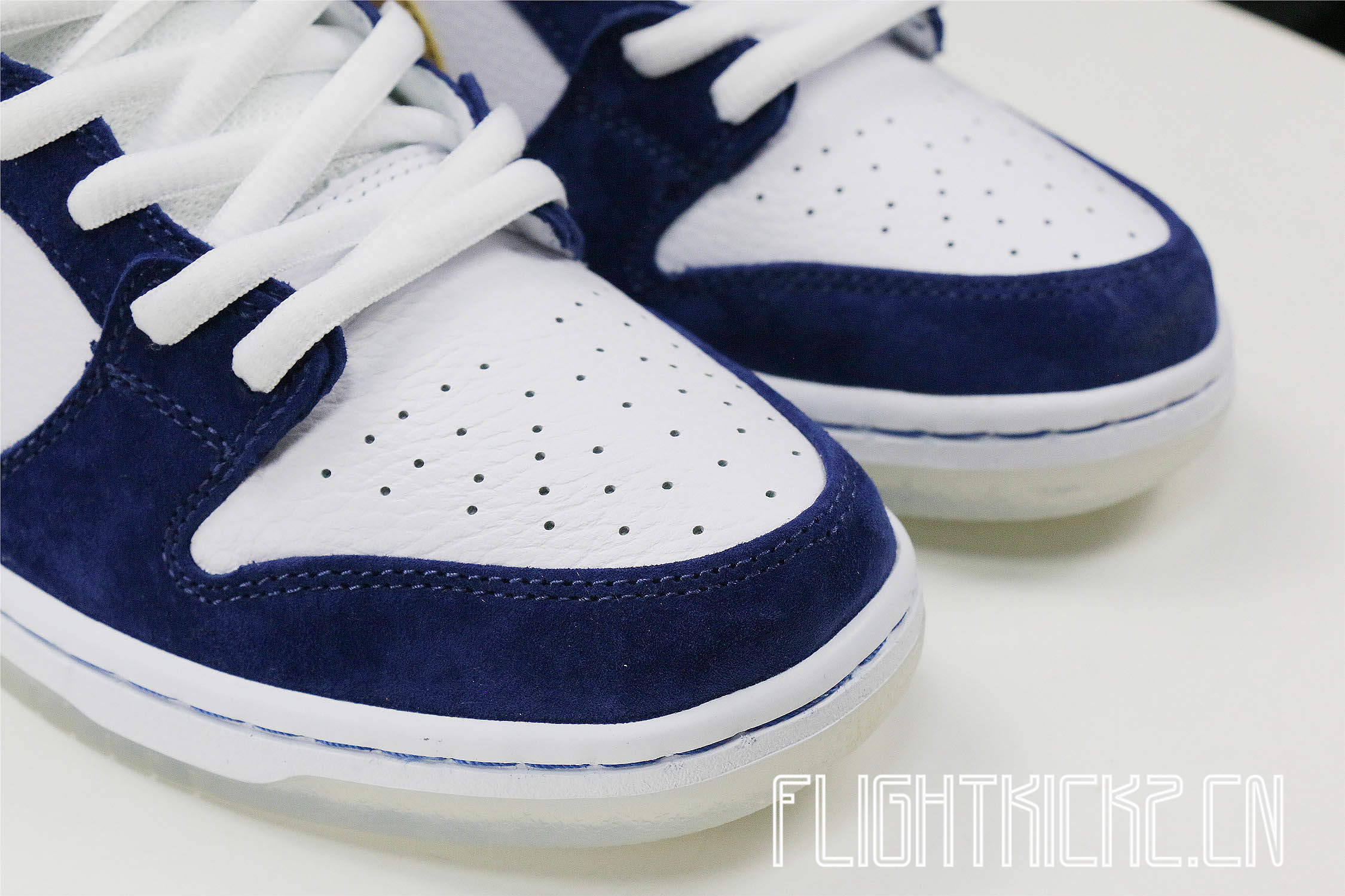 Nike Dunk SB Low Ishod Wair BMW