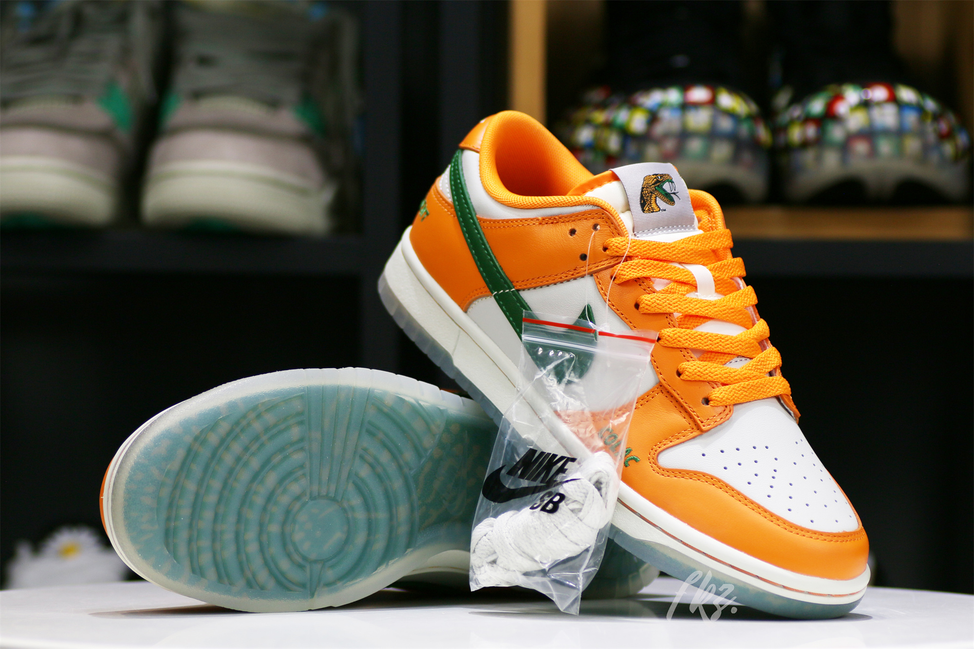 Nike Dunk Low Florida A&M University