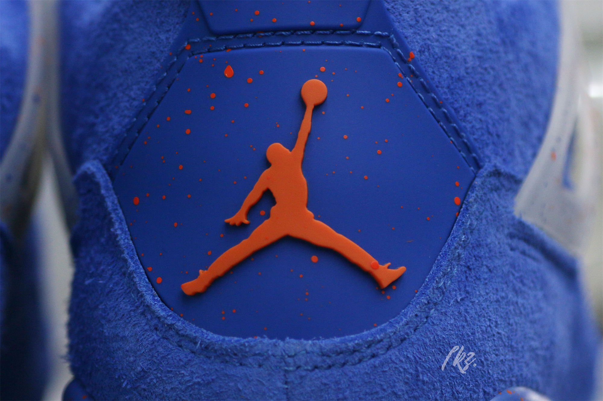 Air Jordan 4 Florida Gators PE