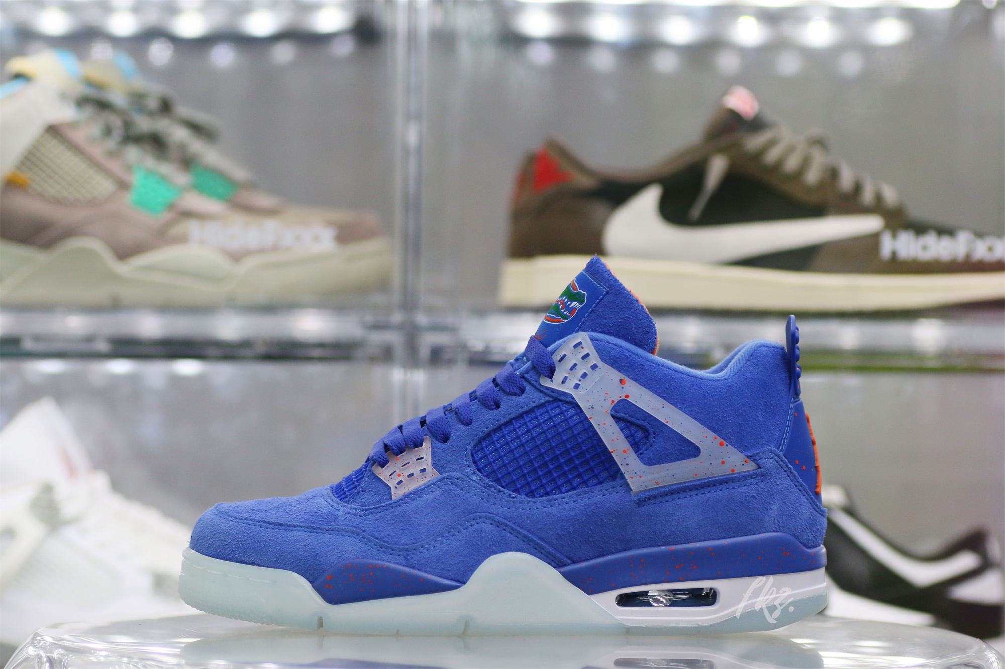 Air Jordan 4 Florida Gators PE