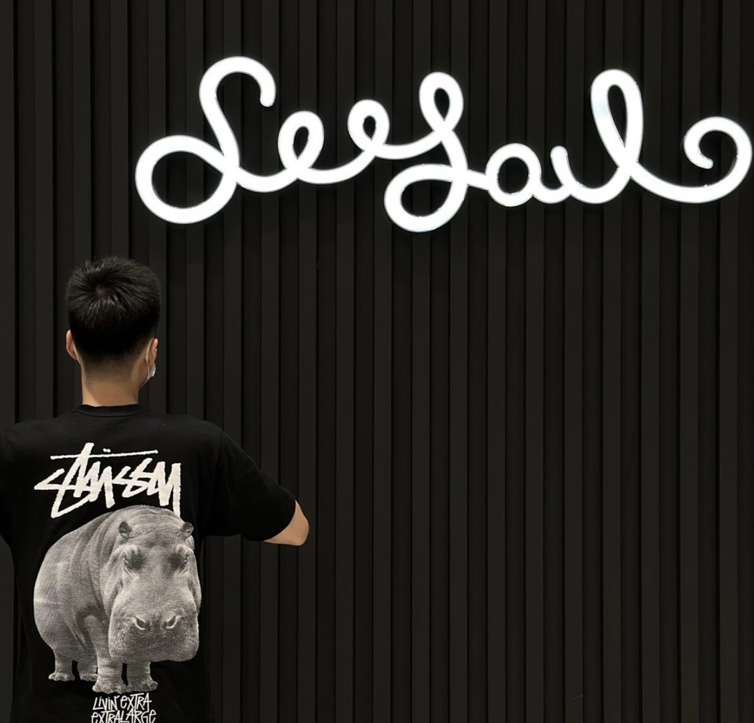 Stussy hippo print short sleeves