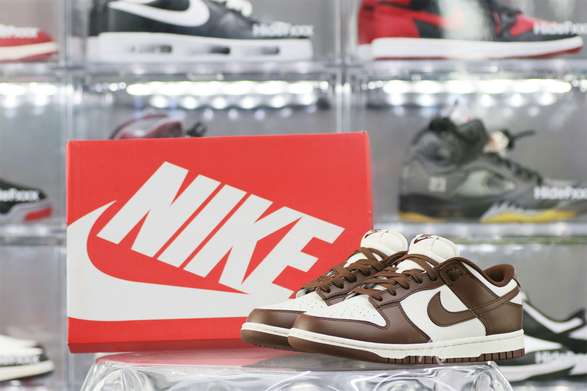 Nike Dunk Low Cocao Wow Brown Sail 2023