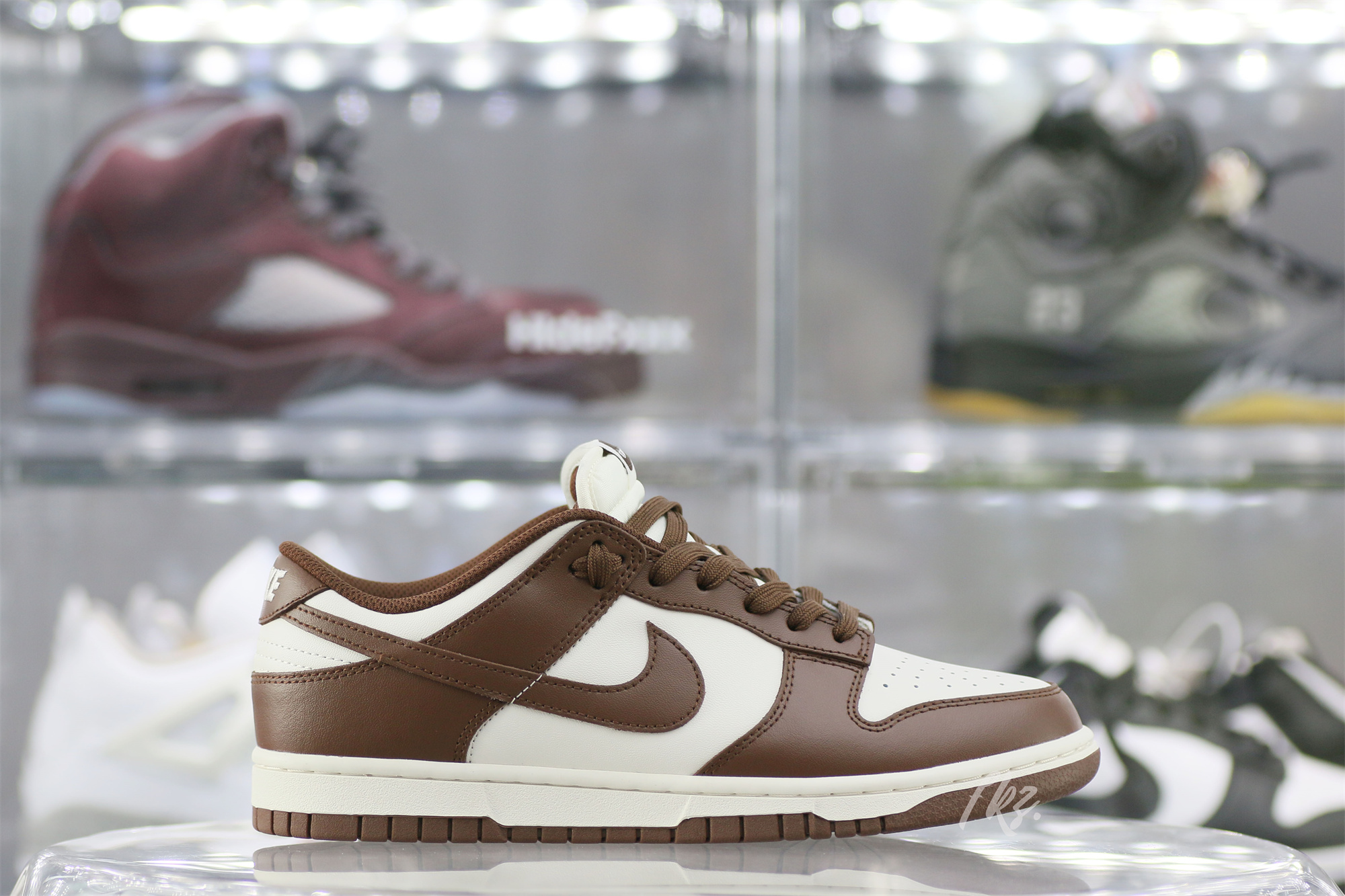 Nike Dunk Low Cocao Wow Brown Sail 2023