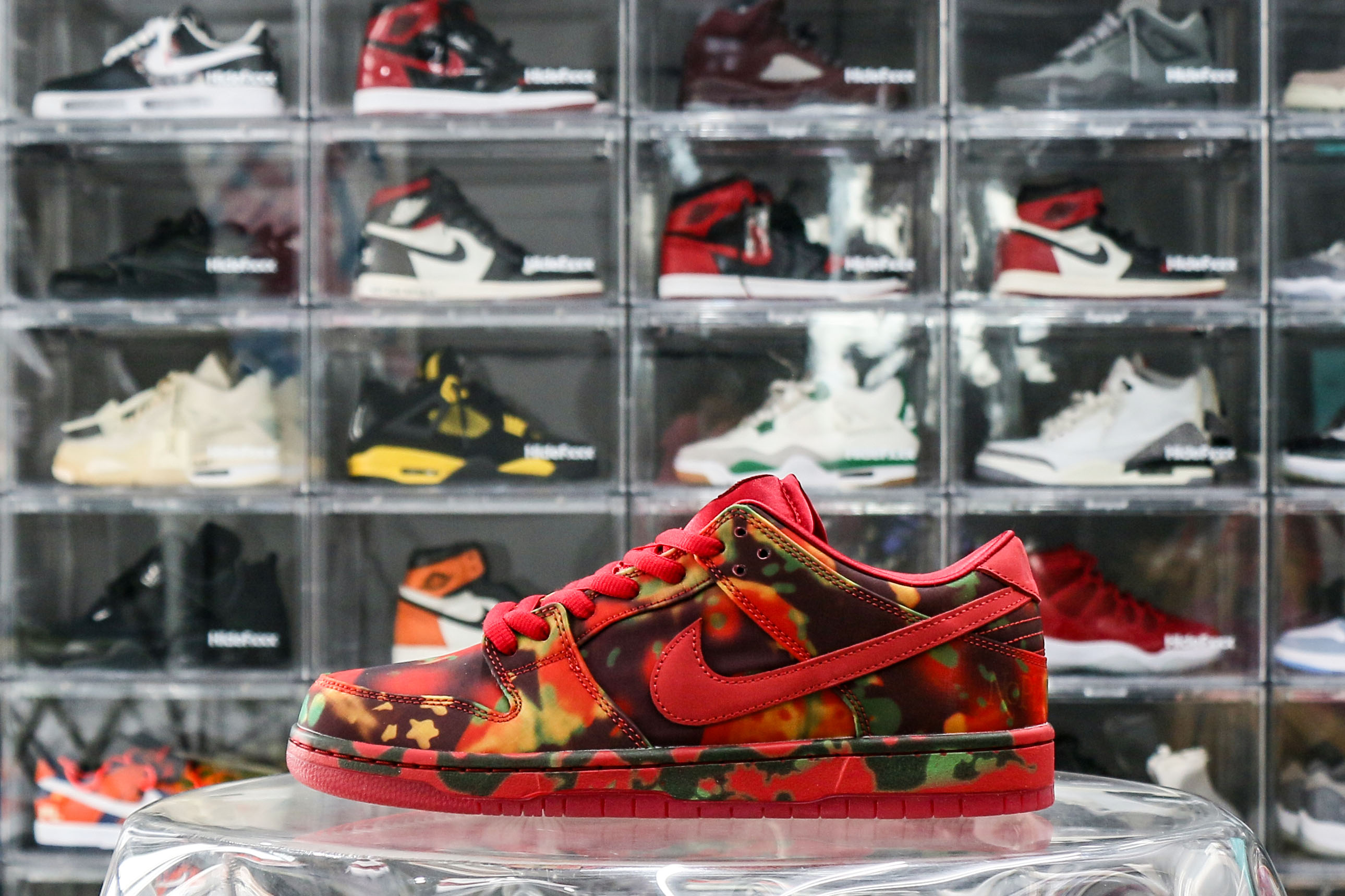 Nike SB Dunk Low The Wizard of Oz Poppy Field