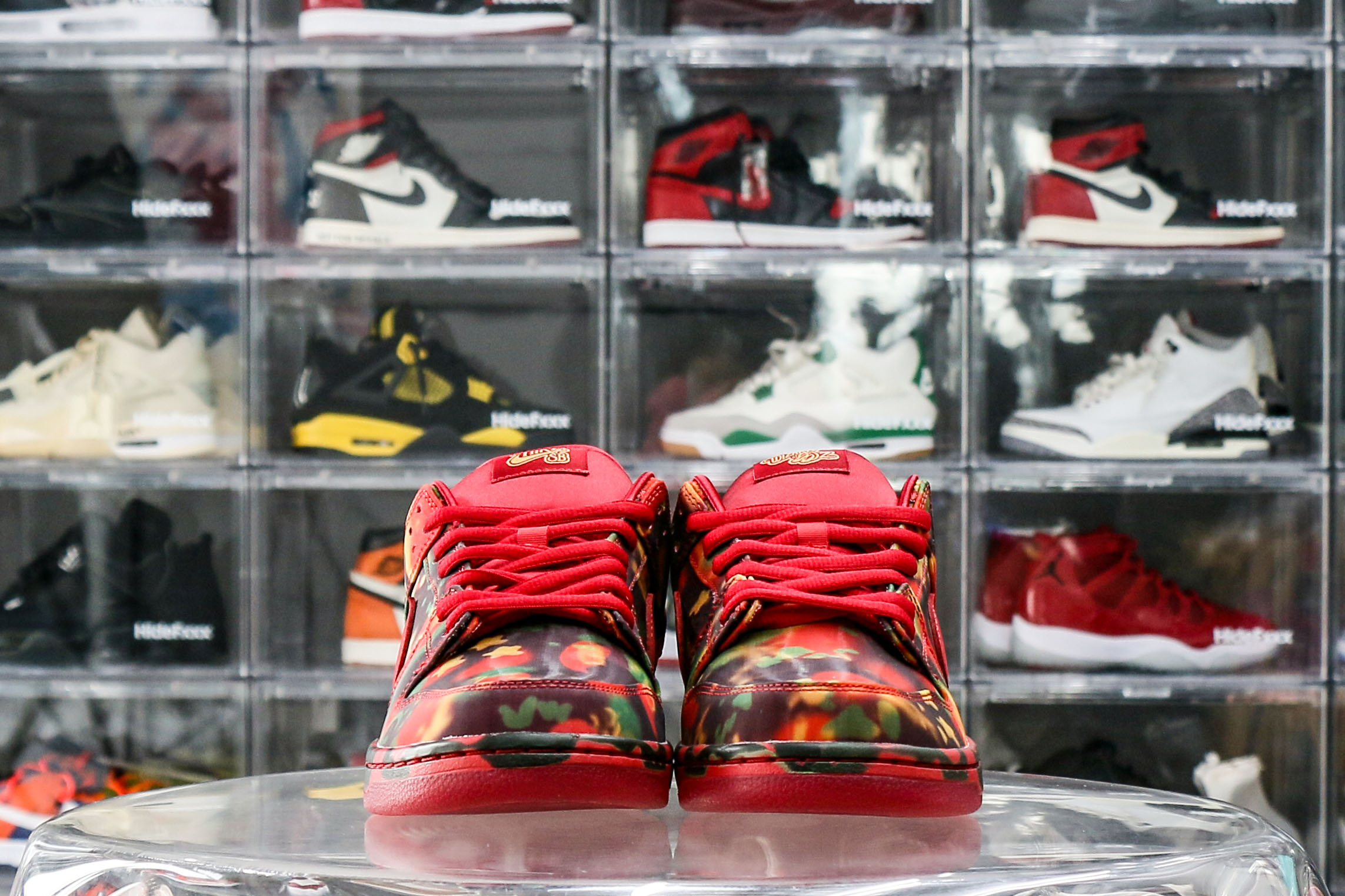 Nike SB Dunk Low The Wizard of Oz Poppy Field