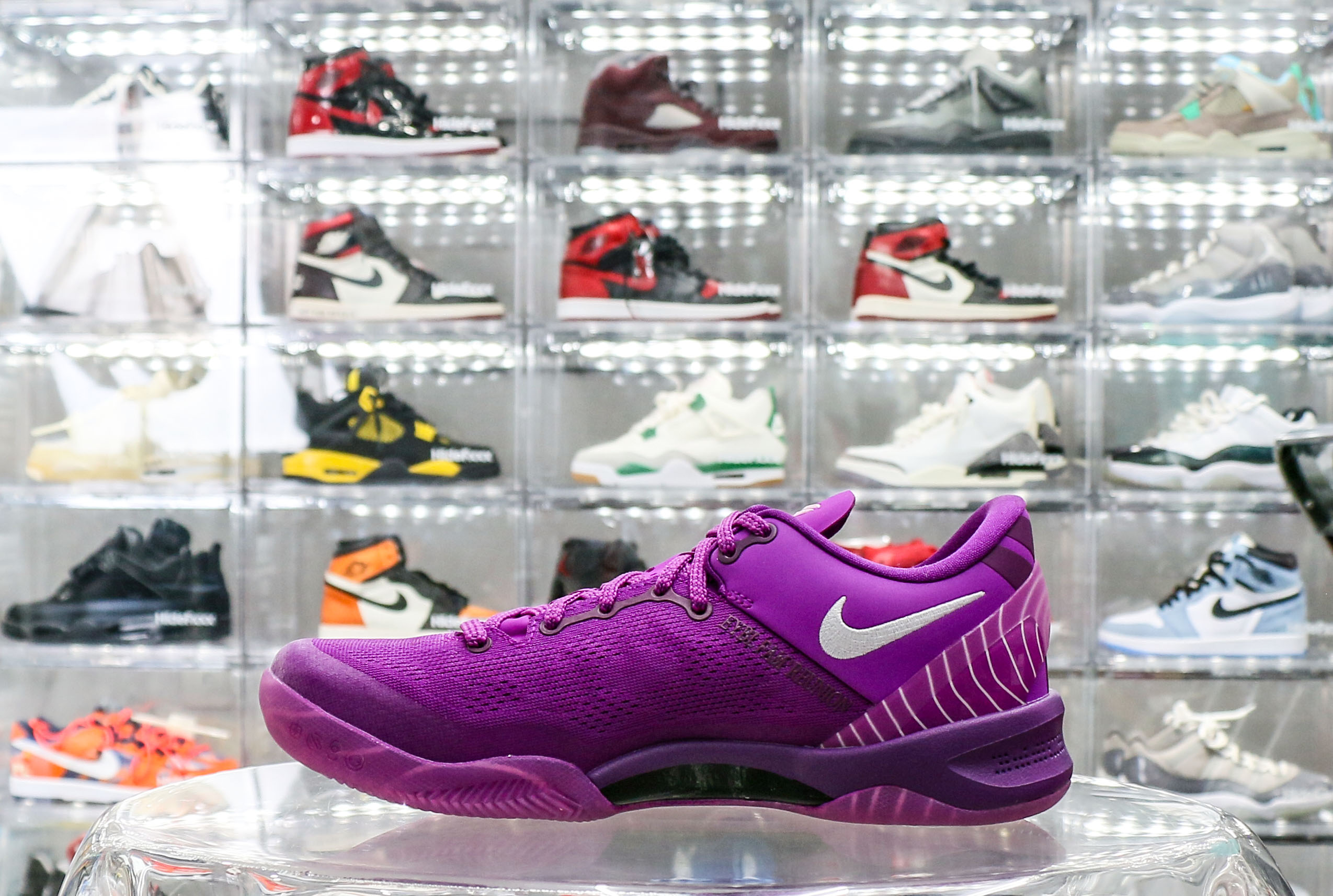 Nike Kobe 8 Protro EYBL 2024（Ln5 A1）