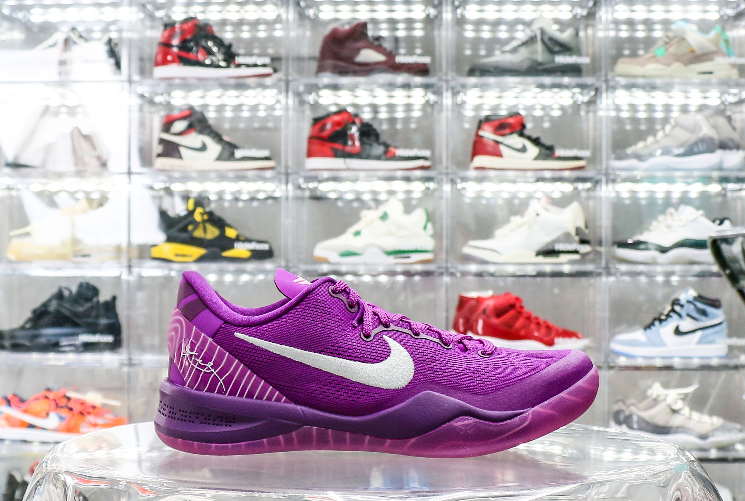 Nike Kobe 8 Protro EYBL 2024（Ln5 A1）